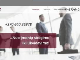 Įmonių steigimas ir buhalterinė apskaita ir kt.
