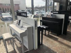 Yamaha Roland Casio skaitmeninis pianinas