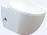 Wc bide viename, unitazas su bide klozetas su bide - nuotraukos Nr. 11