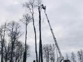 Apleistų sklypų tvarkymas / Aplinkos tvarkymas - nuotraukos Nr. 35