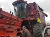 Case Ih 527 Ardomas Dalimis - nuotraukos Nr. 9