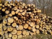 Malkos Panevėžio ir aplinkiniuose rajonuose - nuotraukos Nr. 3