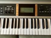 Roland Gw-7, Yamaha Qs 300, Piaggero Np-v80 ir kt. - nuotraukos Nr. 8