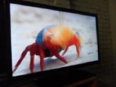 Smart TV Samsung LED - nuotraukos Nr. 6