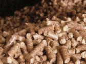 Granules nuo 310eur,