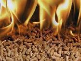 Granules nuo 310eur, - nuotraukos Nr. 2