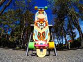 Longboard - nuotraukos Nr. 5