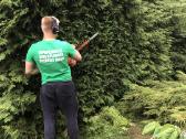 Gyvatvorių karpymas - nuotraukos Nr. 13