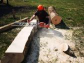 Avarinių medžių , krūmų pjovimas. Arboristas. - nuotraukos Nr. 7