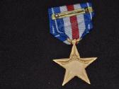 Amerikos sidabrinės žvaigždė - nuotraukos Nr. 2