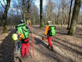 Arboristų paslaugos, medžių pjovimas, genėjimas - nuotraukos Nr. 12