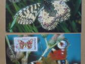 Drugeliai fauna - 2002 m.