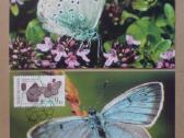 Drugeliai fauna - 2002 m. - nuotraukos Nr. 2