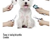 Šunu ir kačiu kirpykla Kauno Centre - veterinaras
