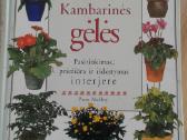 P.m.hoy kambarines geles knyga 1999m.