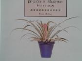 P.m.hoy kambarines geles knyga 1999m. - nuotraukos Nr. 2