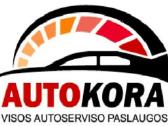 Autošaltkalvis Automechanikas