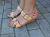Naujos basutes