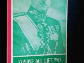 Knyga. Kovose dėl lietuvos