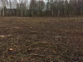 Apleistų sklypų tvarkymas , miško tvarkymas - nuotraukos Nr. 4