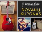 Individualios gitaros pamokos - nuotraukos Nr. 4