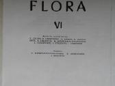 Lietuvos tsr flora ,6 tomas - nuotraukos Nr. 2