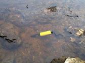 Metalo Detektoriai Minelab Pro-find 15 Pinpointer - nuotraukos Nr. 9