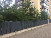 Lietvamzdžiai Ir Latakai - nuotraukos Nr. 8