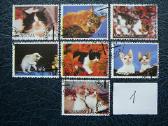 Kates 6 komplektai antsp. kat01/7