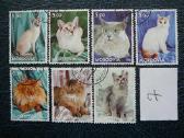 Kates 6 komplektai antsp. kat01/7 - nuotraukos Nr. 6