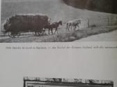 D.weld Rytų Prūsija anksčiau ir dabar 1981 m. - nuotraukos Nr. 3