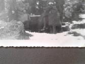 Hitlerio jaunimas 1941 m.albumas -mallnitz-austrij - nuotraukos Nr. 3