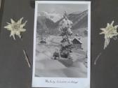 Hitlerio jaunimas 1941 m.albumas -mallnitz-austrij - nuotraukos Nr. 19