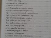 Sužeistieji -2007 m.-psichologija - nuotraukos Nr. 3