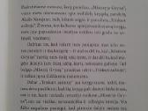 "Triskart aušroje"romanas Alessandro Baricco - nuotraukos Nr. 2