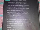 "Nakties traukinys"martin Amis 2000m.romanas - nuotraukos Nr. 4