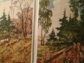 B. Vsesviatskis 1959 m. botanikios vad. - nuotraukos Nr. 2