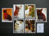 Kates 5 komplektai svarus cat237(1- 5) - nuotraukos Nr. 3