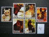 Kates 5 komplektai svarus cat237(1- 5) - nuotraukos Nr. 4