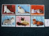 Kates 5 komplektai svarus cat240(1- 5)