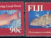 Fidžis 2006-2008. Fauna. - nuotraukos Nr. 8