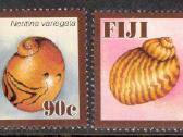 Fidžis 2006-2008. Fauna. - nuotraukos Nr. 9