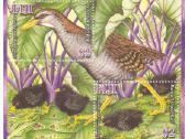 Fidžis 2006-2008. Fauna. - nuotraukos Nr. 11