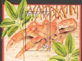 Fidžis 2006-2008. Fauna. - nuotraukos Nr. 12