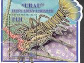 Fidžis 2006-2008. Fauna. - nuotraukos Nr. 13