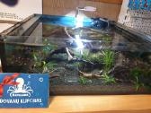 Akcija! -10% Akvariumų gamyba. Pigūs akvariumai - nuotraukos Nr. 10