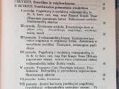 R. Aprijaskytė anglų užduotys - nuotraukos Nr. 3