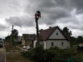 Pavojingų, avarinių medžių pjovimas - nuotraukos Nr. 16