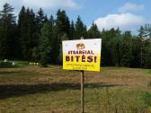Bičių produktai. Medus, pikis ir bičių duonelė - nuotraukos Nr. 15