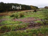 Kelmų frezavimas, apleistų plotų tvarkymas . - nuotraukos Nr. 4